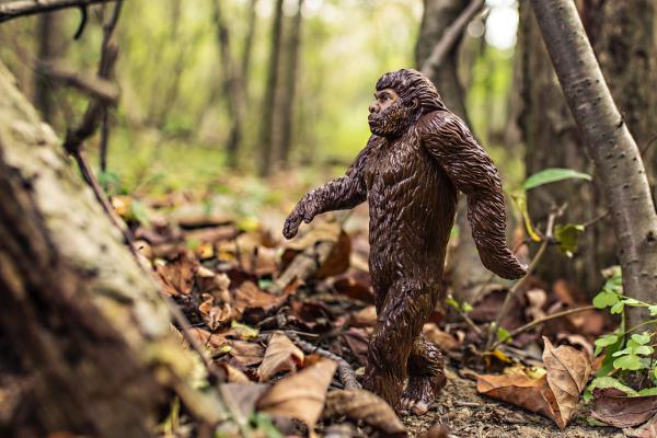 Max, los monstruos y el Surrealismo
