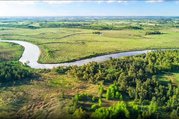 Paisajes de Uruguay a través del arte