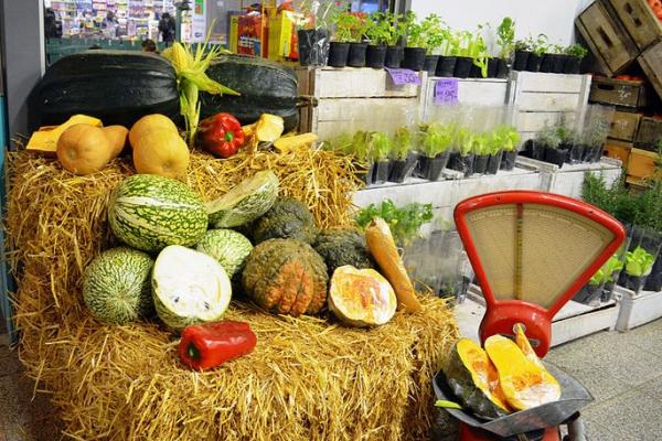 De la tierra a la mesa: el camino de los alimentos