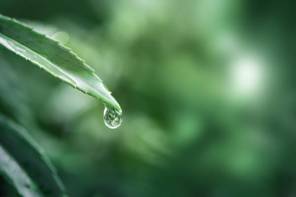 Hablemos sobre el agua