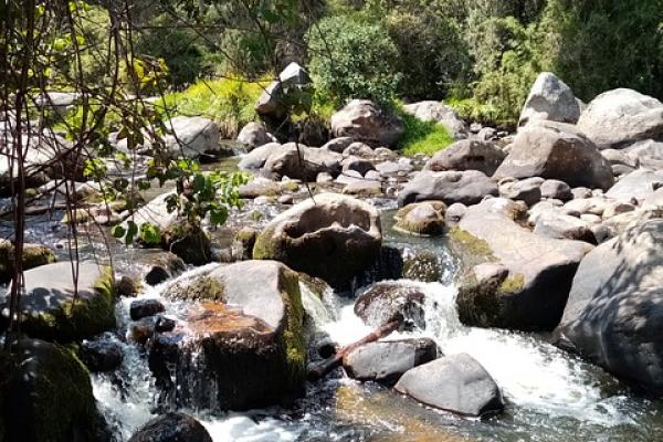 ¿El ambiente puede causarnos daño?