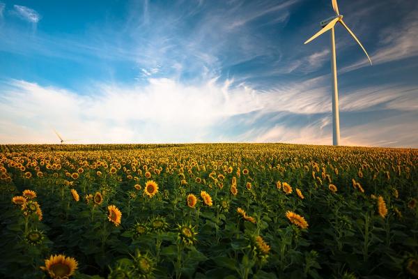 ¡A renovar energías!
