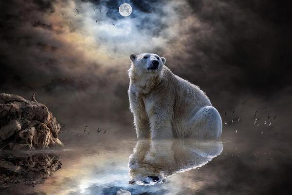 Have you ever thought about climate change?