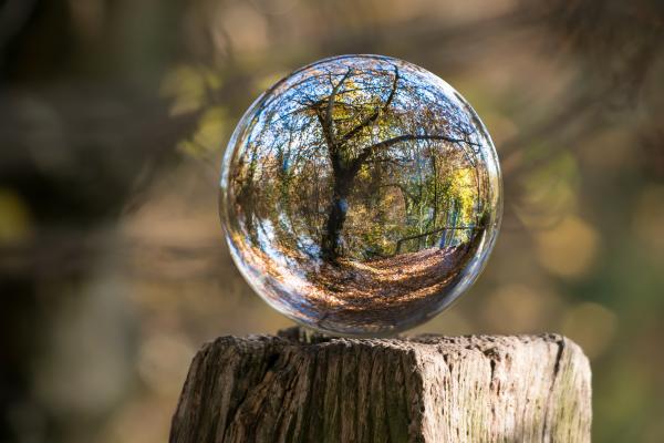 El ciclo de vida de las cosas
