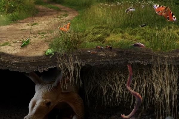¿Qué es un sistema ecológico?