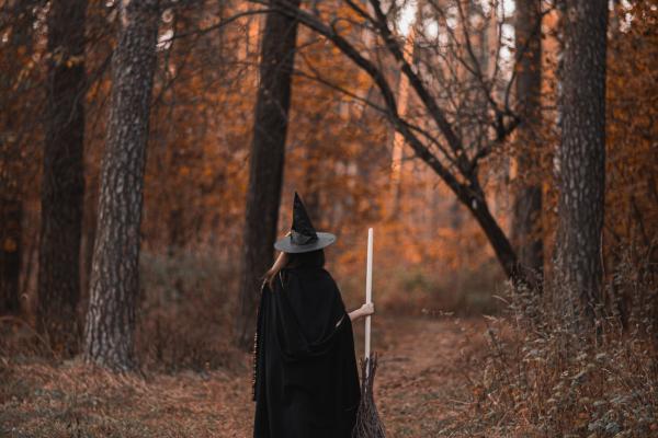 Conociendo a las brujas