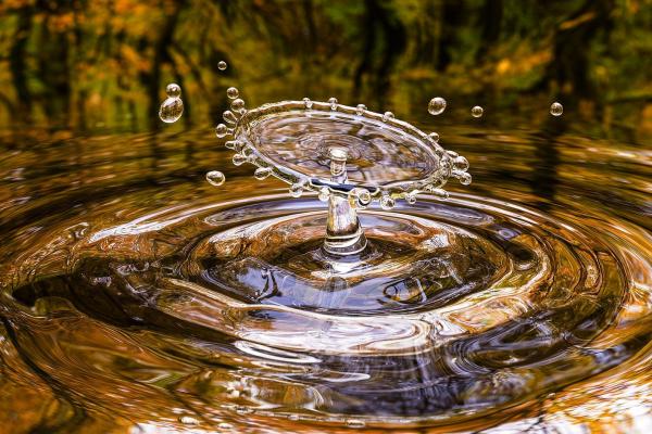 Los líquidos y algunas particularidades del agua