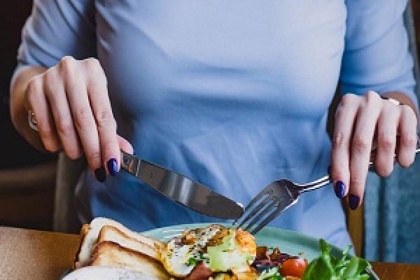 Aparatos vinculados a la nutrición humana