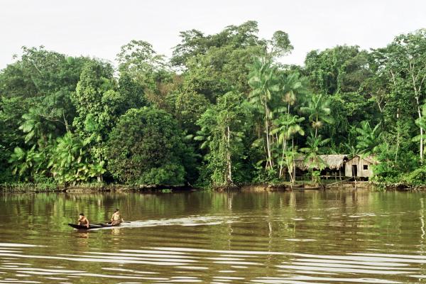 La Selva amazónica