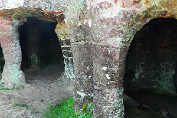 Biodiversidad en Grutas del Palacio