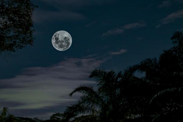 José Cuneo, el enamorado de la luna
