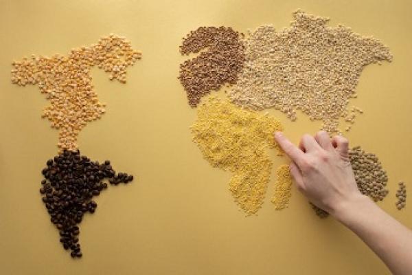 Un cereal con potencial: el mijo