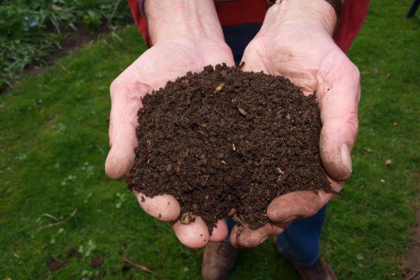 De basura a tesoro: Compost