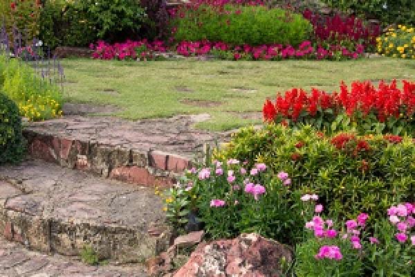 El jardín mágico: plantas, animales y números