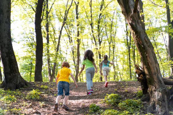 Educación Física en la naturaleza