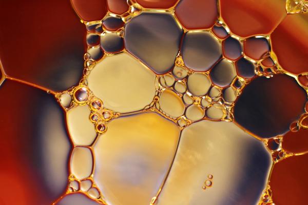 La Química Orgánica de todos los días