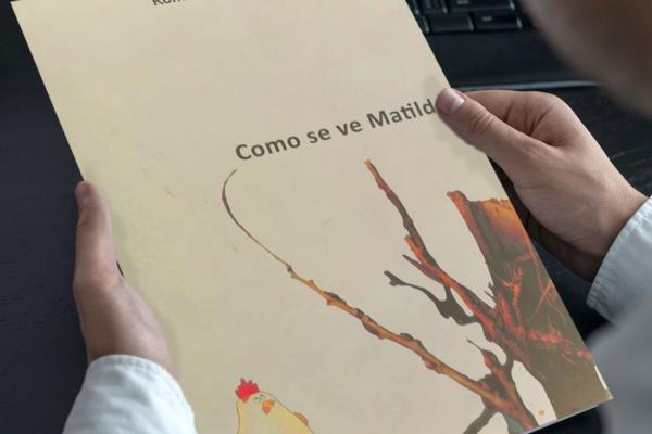 Una aproximación a "Como se ve Matilde" (cuento)