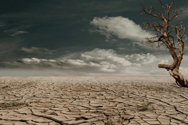 Cambio climático