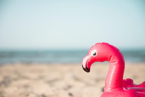 Vacaciones en la playa