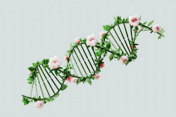 ADN y Biodiversidad: un código que nos define