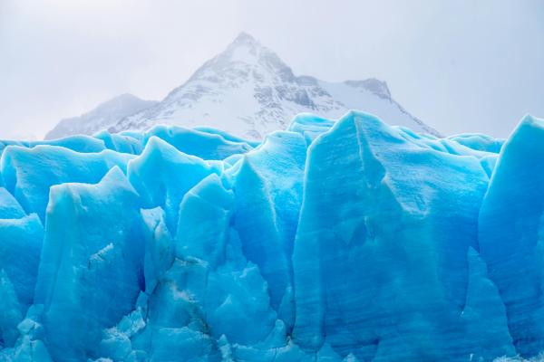 Un gigante en los Glaciares