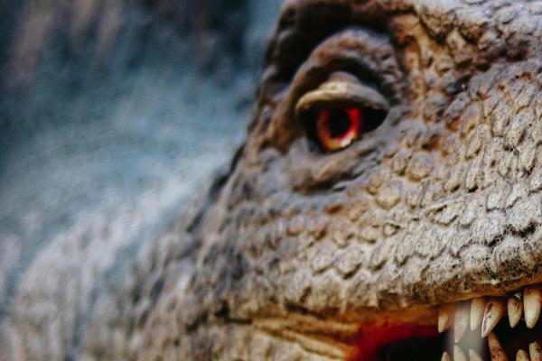 Matemáticas de un dinosaurio oriental