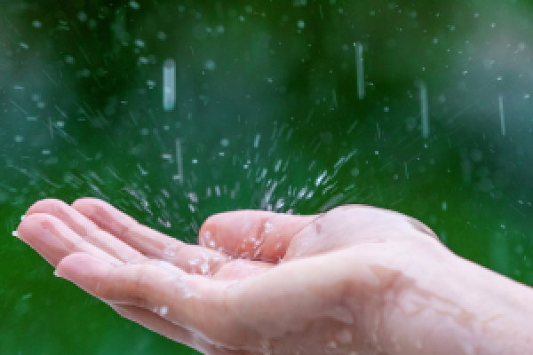 ¿Quién canta cuando llueve?