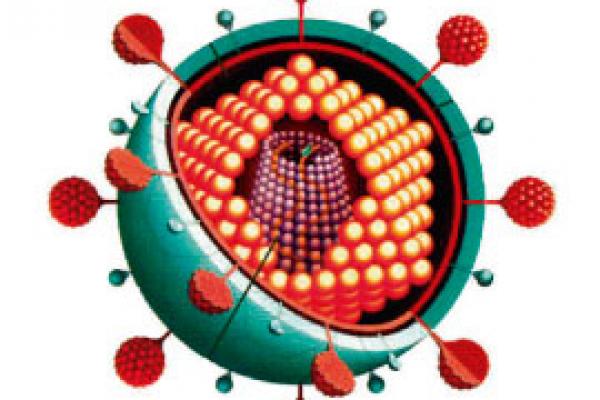 INFLUENZA A (H1N1): ¿Qué hacer?