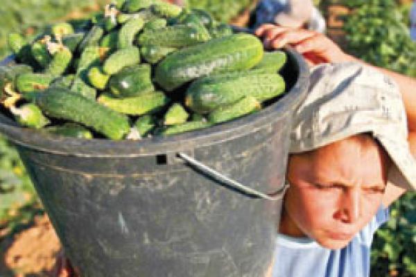 ¿Hay niños que trabajan?