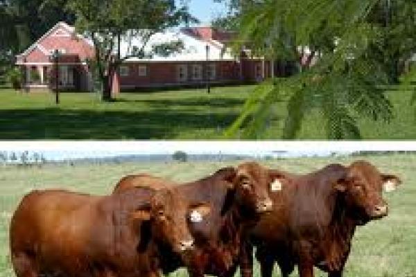 La estancia y la cabaña