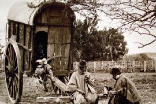 Curaduría: El gaucho