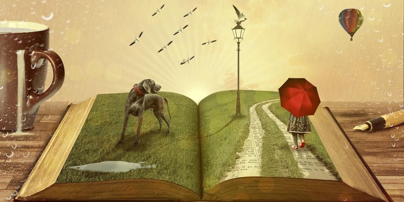 libro abierto