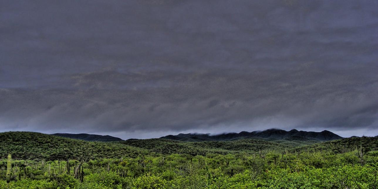 Así luce la tierra desértica después de las lluvias de la depresión