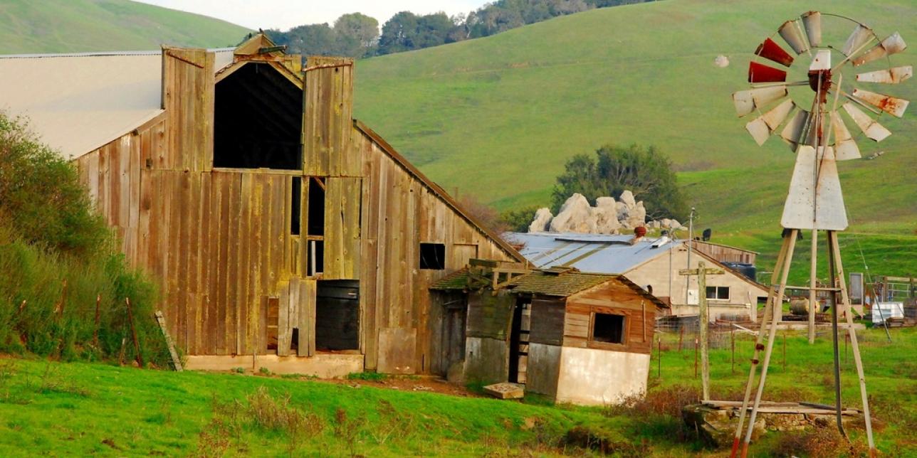 Fotografía de una granja con paredes de madera, un molino, en un entorno verde y árboles a lo lejos. 