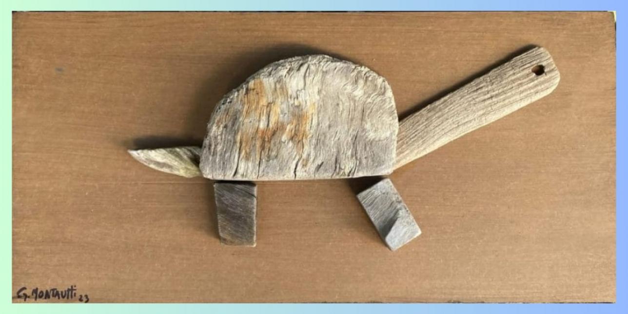 Imagen de tortuga en madera del artista Gerard Montautti