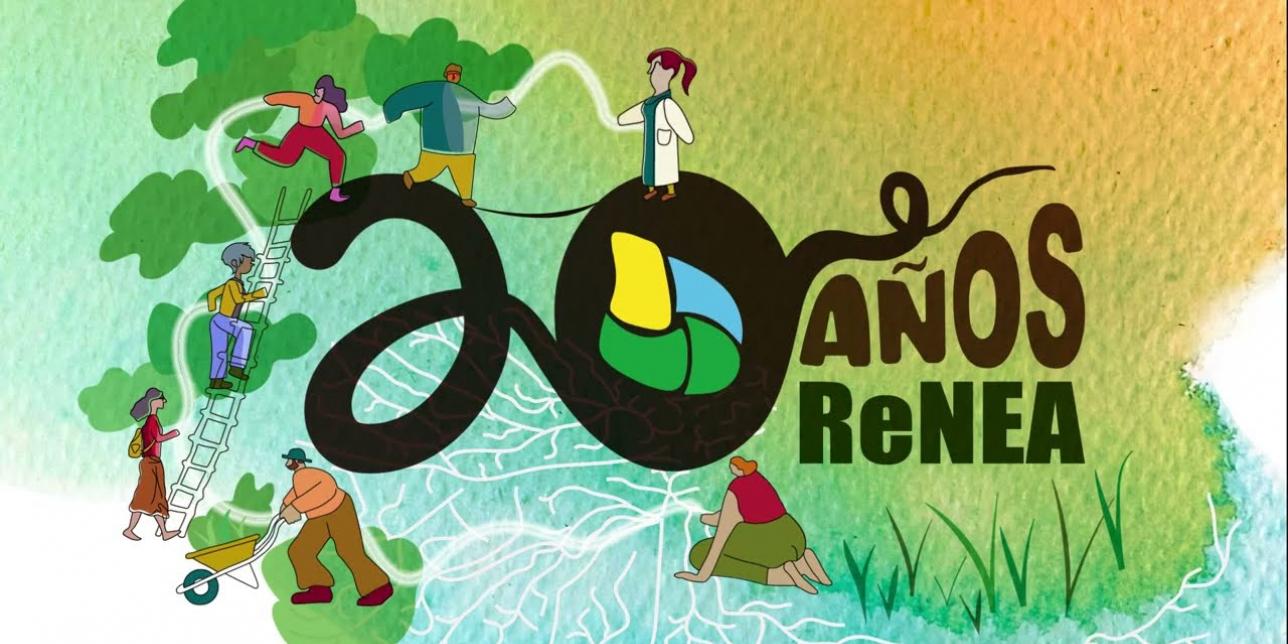 20 años de la RENEA