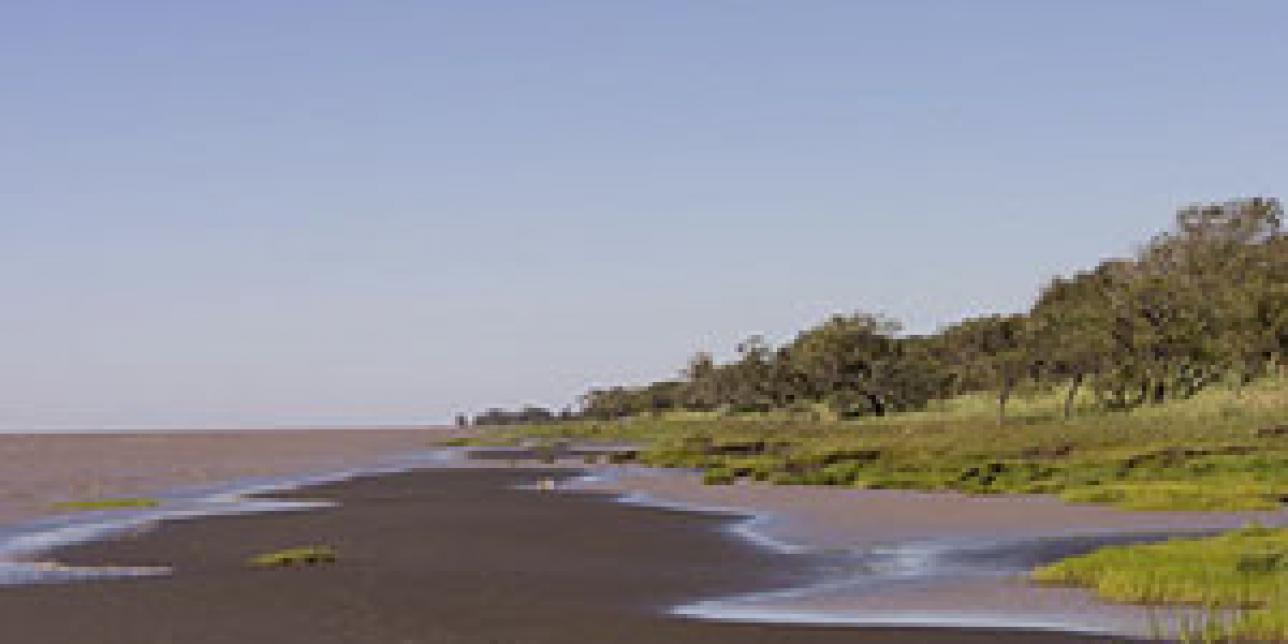 El primero en el Río de la Plata: Juan Díaz de Solís