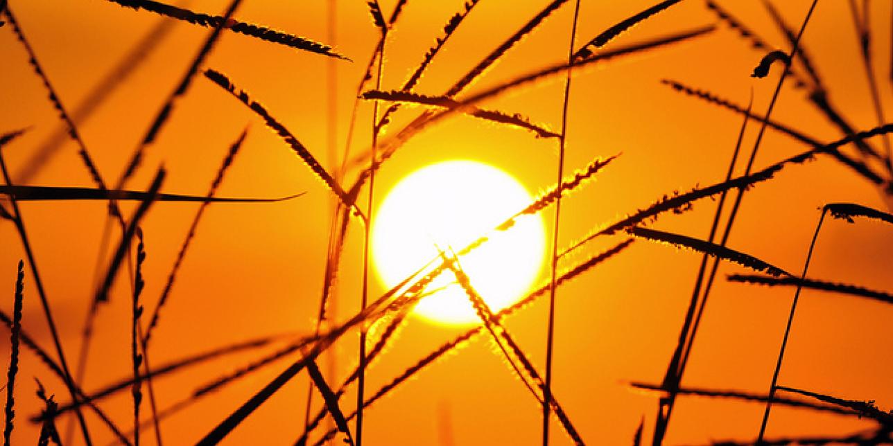 La energía del Sol