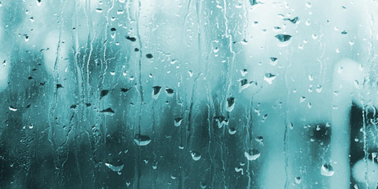 El agua: un bien de todos