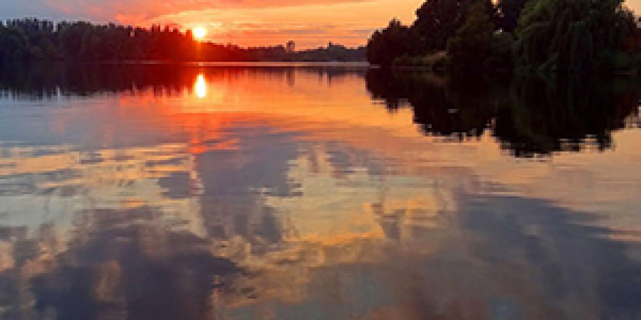 Una bacteria veranea en nuestras aguas: Vibrio vulnificus