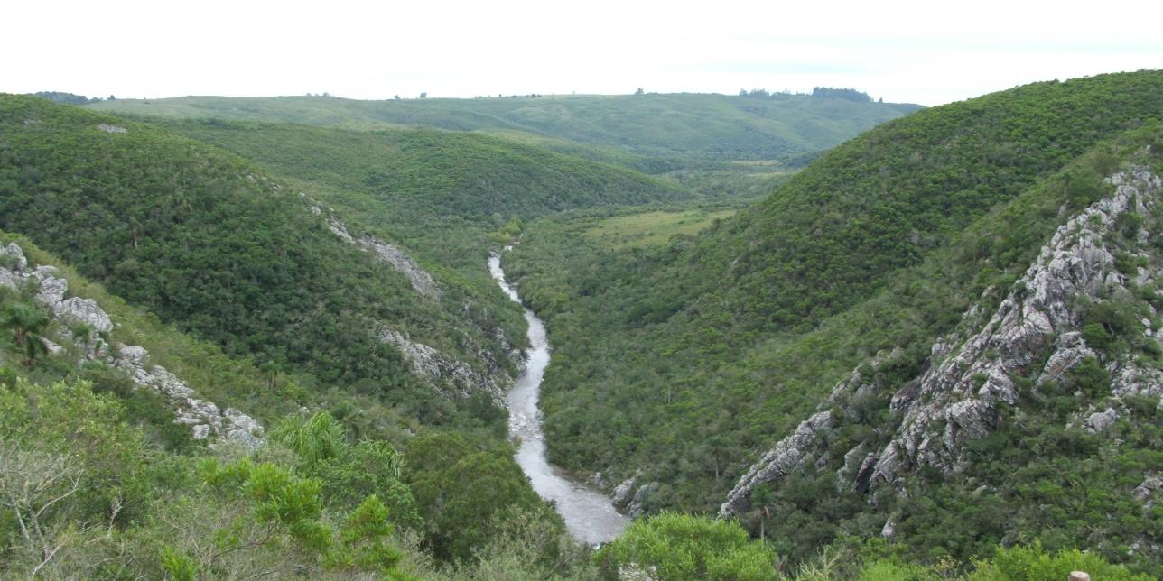 La deriva continental