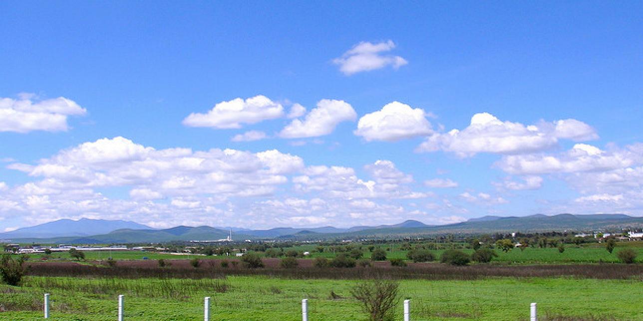 ¿Urbano o rural?