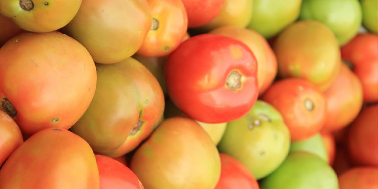 El deportista y la alimentación