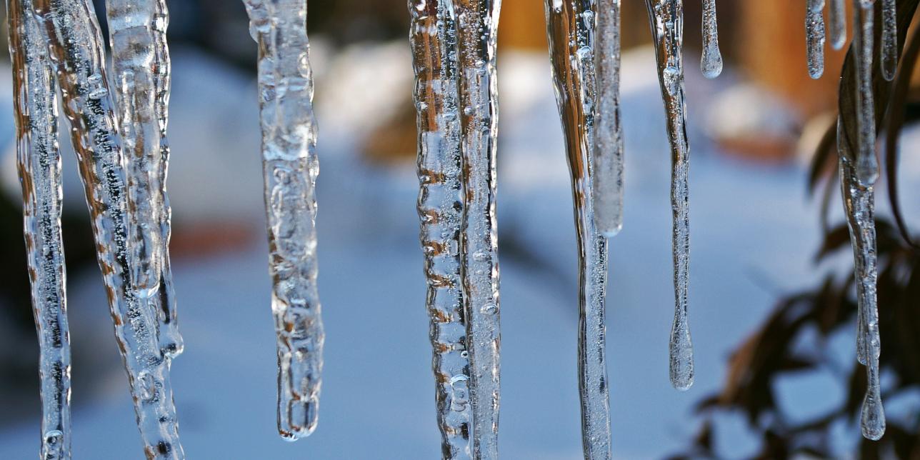 ¿Qué personaje de la película "La Era de Hielo" soy?
