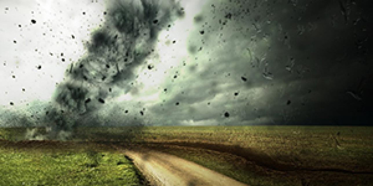 El cambio climático en lo cotidiano