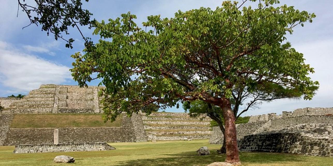 Los españoles en Mesoamérica