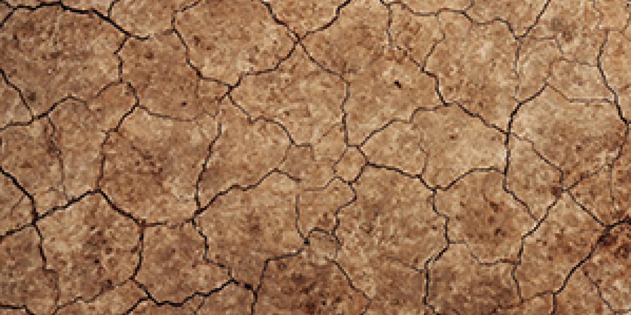 La Tierra, evolución continua