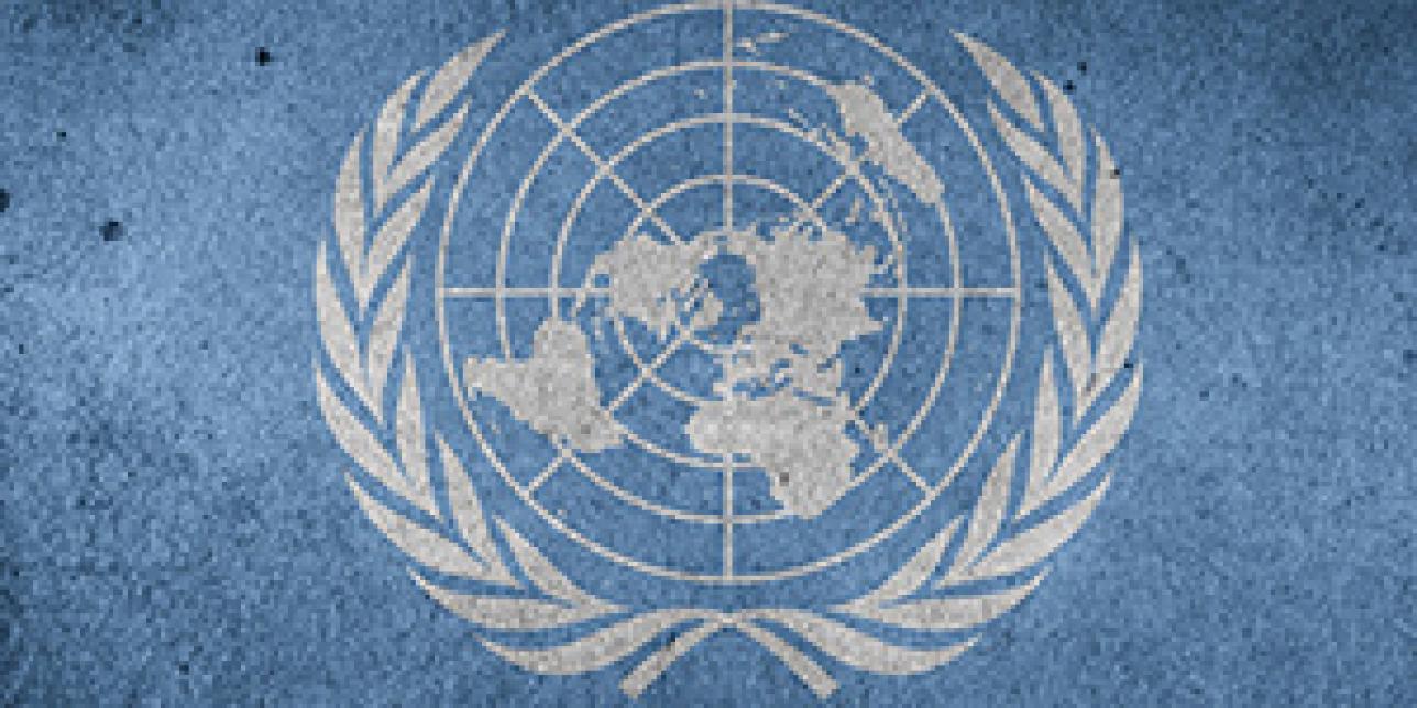Las Naciones sean unidas... para un futuro mejor