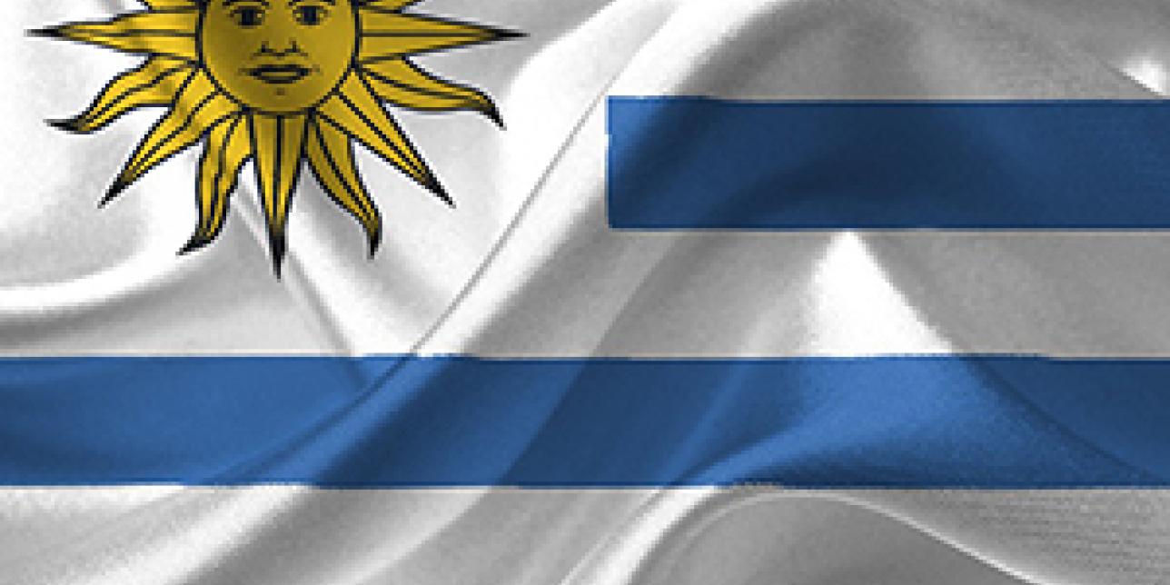 Nueve franjas y un sol