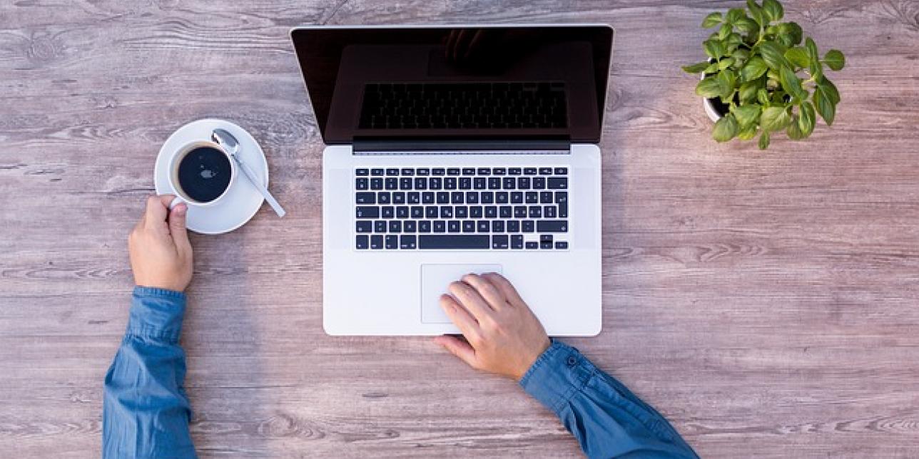 Guía de usabilidad Web